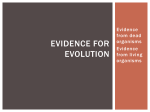 Evidence for Evolution