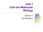 Cell and Molecular Biology