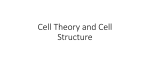 Cell Theory and Cell Structure