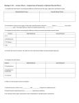 Lecture Sheet - Smooth vs Skeletal