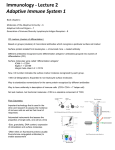 Immunology - Lecture 2 Adaptive Immune System 1