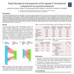 papaya X-specific BACs monoica corresponding