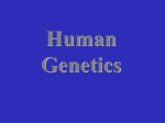 Human Genetics