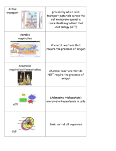 Hit List vocabulary cards