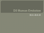 D3 Human Evolution