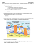 1. There are three main classes of biological polymers