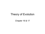 Theory of Evolution