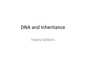 File - Dr Hayley Siddons