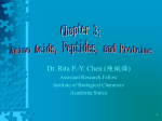 aliphatic amino acid structures