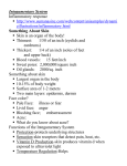 Integumentary sys