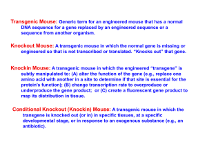 Transgenic Animal Models