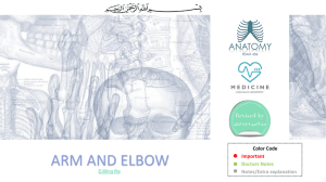 11-ARM AND ELBOW 2017-01