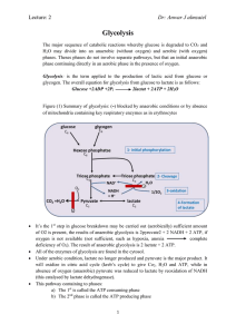 Dr: Anwar J almzaiel Glycolysis