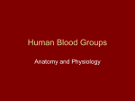 Human Blood Groups