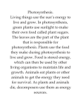 Photosynthesis. Living things use the sun`s energy to live and grow