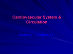 6) Blood Flow and Blood Pressure