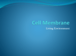 Cell Membrane