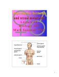 Lecture 8: Reproductive hormones and sexual maturation