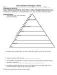 Levels of Biological Organization: Handout LevelsOfOrganization