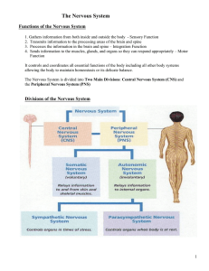 The Nervous System