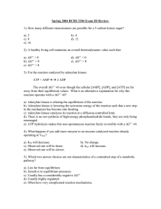 Practice Exam III