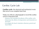 Cardiac Cycle