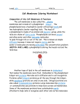 Cell Membrane Coloring