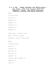 Ch 7 Notes: The Axial Skeleton 2012