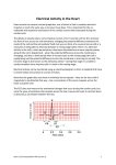 Electrical activity in the heart