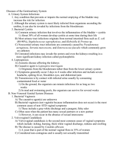 Diseases of the Genitourinary System Notes