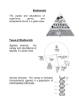 Biodiversity The variety and abundance of organisms, genes, and