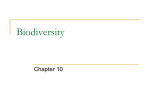 What is Biodiversity?