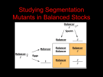 Chapter 21 The Genetic Control of Animal Development