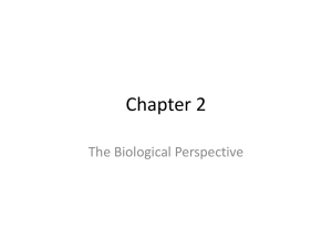 Chapter 2