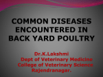 COMMON POULTRY DISEASES NCOUNTERED IN