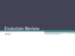 Evolution Review