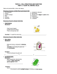 topic 5 -part 3 guided notes -plant vs animal cells - student