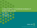 Interpro - European Bioinformatics Institute