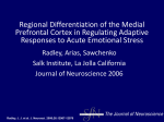 Regional Differentiation of the Medial Prefrontal Cortex in