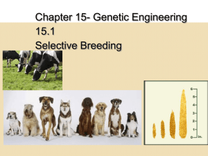 Selective Breeding