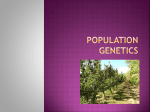 Population Genetics