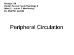 PowerPoint Lecture - Dr. Stuart Sumida