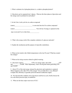 1. What is substrate level phosphorylation (vs. oxidative