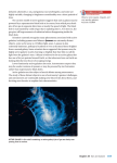 633 infrared, ultraviolet, x-ray, and gamma