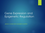 Prenatal Arsenic Exposure and Altered Gene Expression