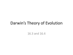 Darwin*s Theory of Evolution