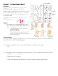 HANDOUT: HUMAN BLOOD GROUPS