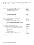 Key Term Review: Cell Structure and Function