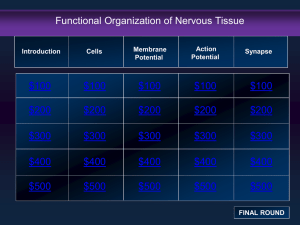 Nervous Tissue