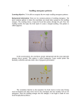 Seedling emergence patterns